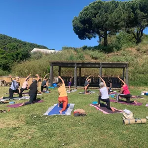 Yoga sous l&rsquo;Eucalyptus + Brunch