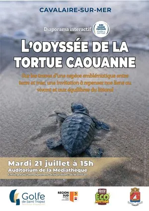 Diaporama interactif : l&rsquo;Odyssée de la tortue caouanne