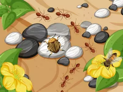 Part&rsquo;âge nature : sortie – petites bêtes et autres petits monstres