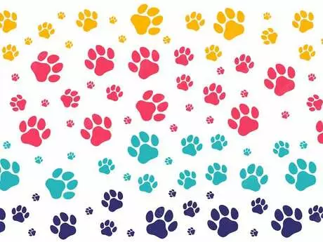 Part&rsquo;âge nature : sortie – traces et empreintes d&rsquo;animaux