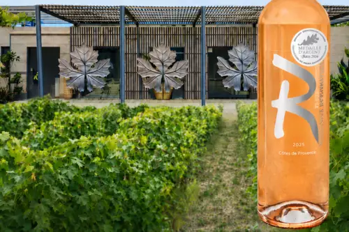Visite de cave – Vignobles de Ramatuelle