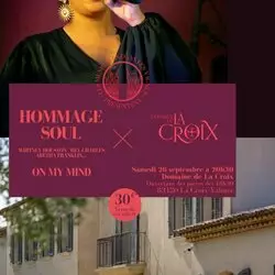 Les musicales dans les vignes de Provence : Hommage Soul