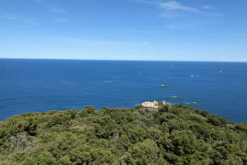 Mobilisations contre les plantes exotiques envahissantes