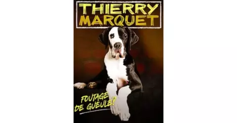 Spectacle humoristique » Foutage de gueule »