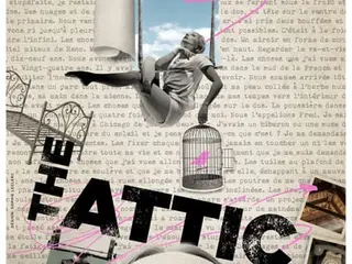 Nouveau Cirque : The Attic
