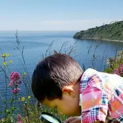 Pichoun&rsquo;ventures d&rsquo;automne : La Flore du littoral