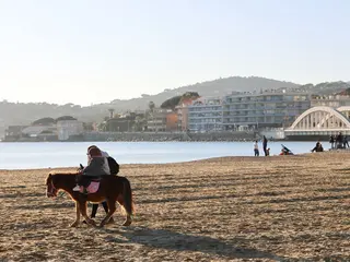 Balades à poney